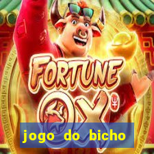 jogo do bicho feira de santana